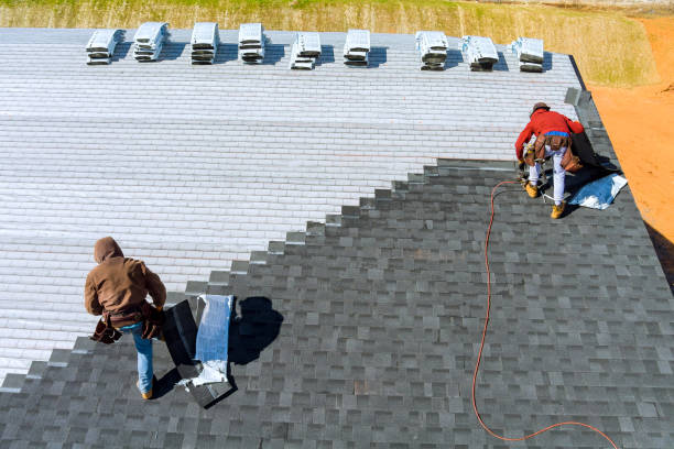 Best Flat Roof Repair Services  in Cambridge, IL