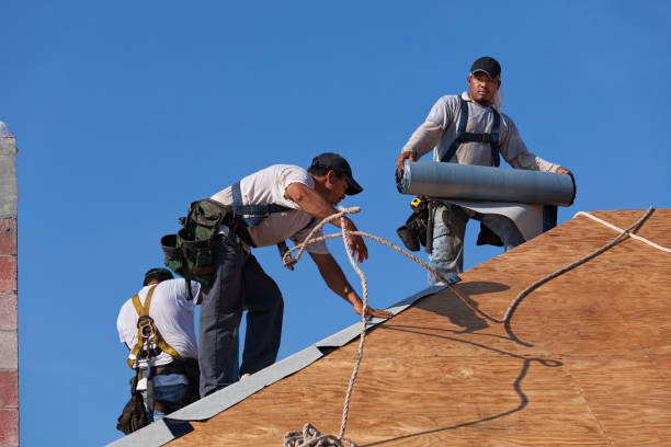 Best Best Roofing Contractors  in Cambridge, IL