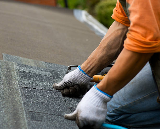 Best Affordable Roofing Company  in Cambridge, IL